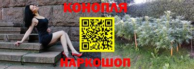 гашик Бузулук
