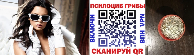 Псилоцибиновые грибы Psilocybe  Тихорецк 