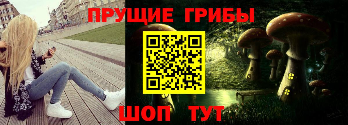 Галлюциногенные грибы Psilocybine cubensis Тихорецк